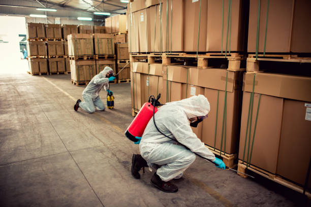 Best Termite Control Services  in Mineral Wells, TX