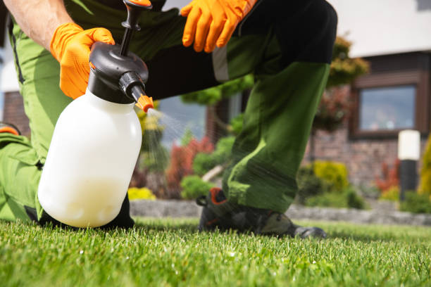 Insect Control in Mineral Wells, TX