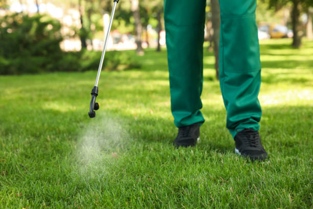 Best Insect Control  in Mineral Wells, TX