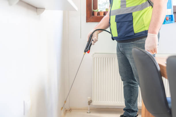 Best Affordable Pest Control Services  in Mineral Wells, TX