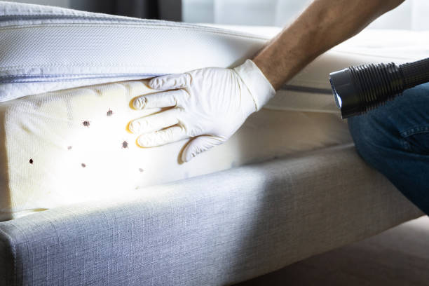 Mineral Wells, TX Pest Control Company