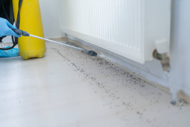 Best Exterminator Services  in Mineral Wells, TX