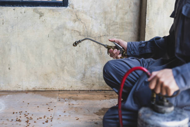 Best Local Pest Control Services  in Mineral Wells, TX